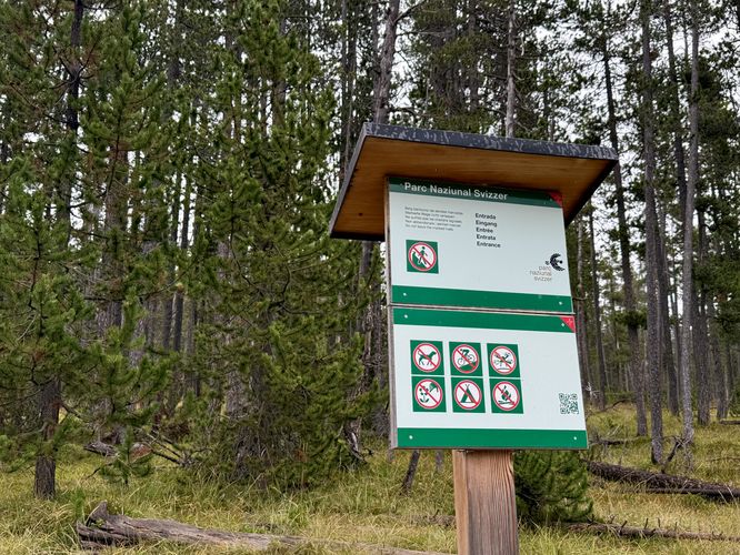 Picture 10 of Swiss National Park Nature Hike