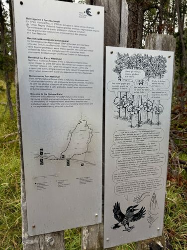 Picture 11 of Swiss National Park Nature Hike