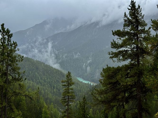 Vis Pass fal Fuorn overlook - Swiss National Park Overlook album