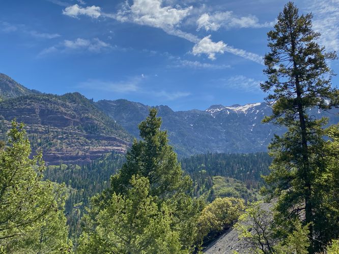View of the Amphitheater in Ouray