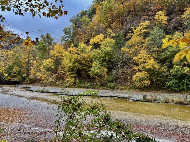 Picture 14 of Taughannock Falls Gorge Oct 14 2026