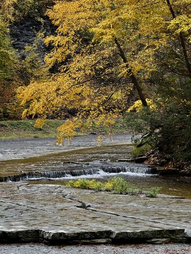 Picture 15 of Taughannock Falls Gorge Oct 14 2026