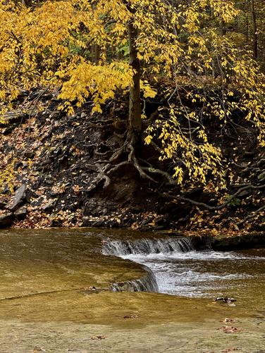 Picture 18 of Taughannock Falls Gorge Oct 14 2026