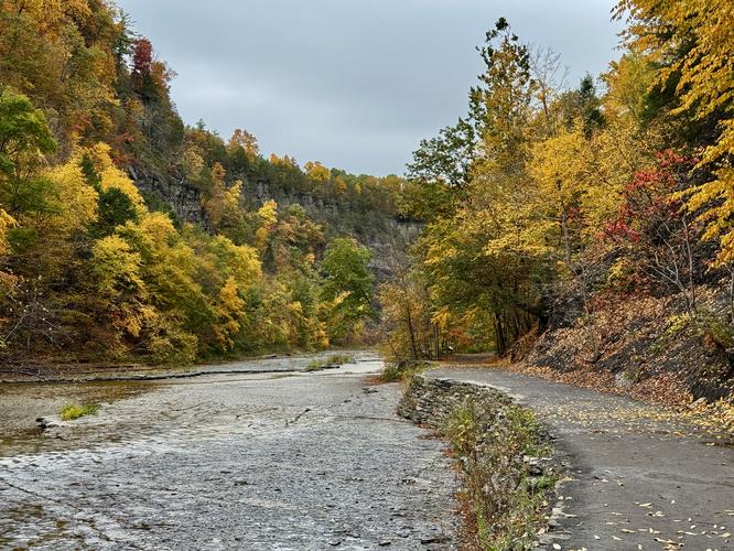 Picture 33 of Taughannock Falls Gorge Oct 14 2026