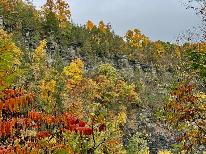 Picture 34 of Taughannock Falls Gorge Oct 14 2026