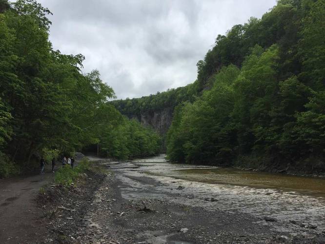 Taughannock Creek and gorge