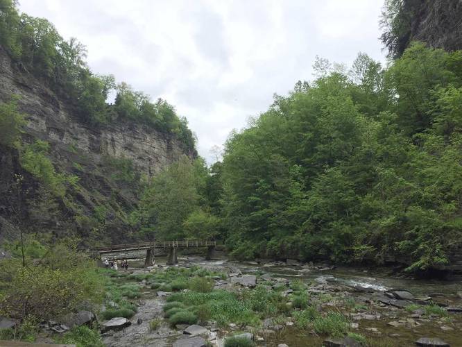 Taughannock Creek and gorge