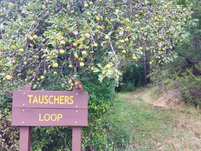 Tauschers Loop Trail trailhead