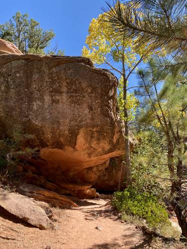 Massive boulder hangs over the Taylor Creek Trail
