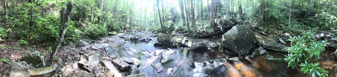 Picture 19 of Tea Creek Hike 072619