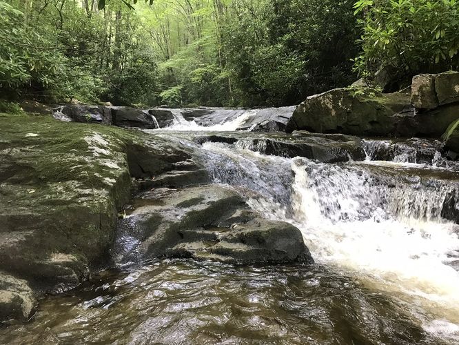Default image for Tea Creek Hike, a 10.8-mile trail in Woodrow, WV (US)