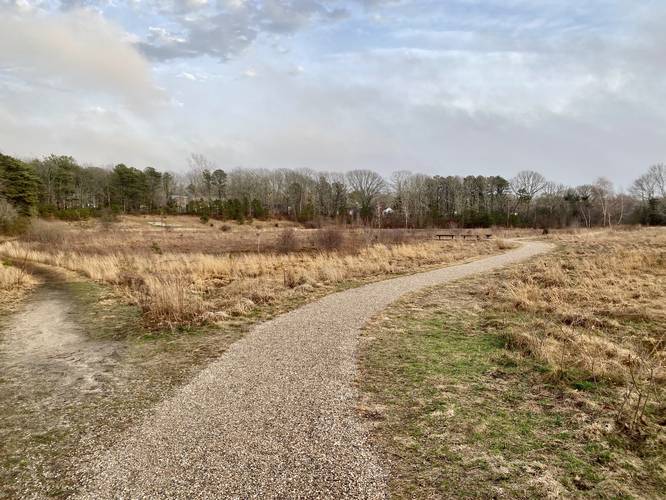Gravel universal access path in Teaticket Park
