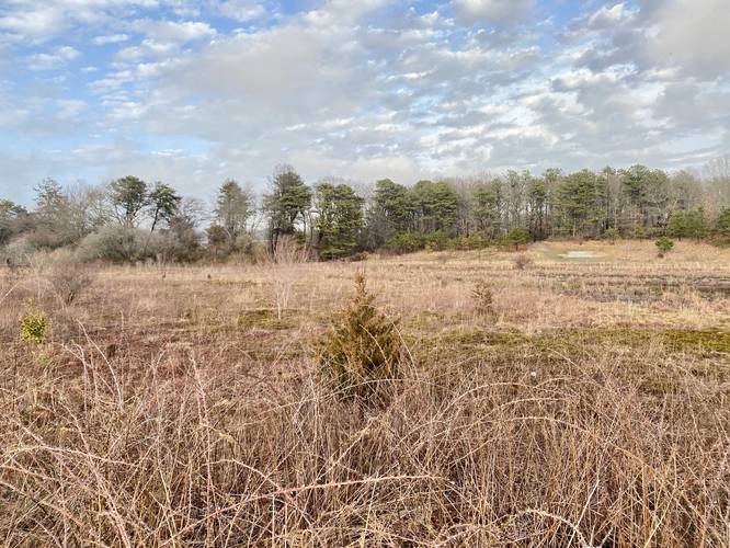 Grassy open fields of Teaticket Park