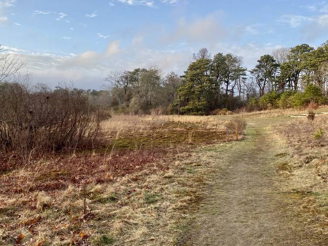 Hiking Teaticket Park