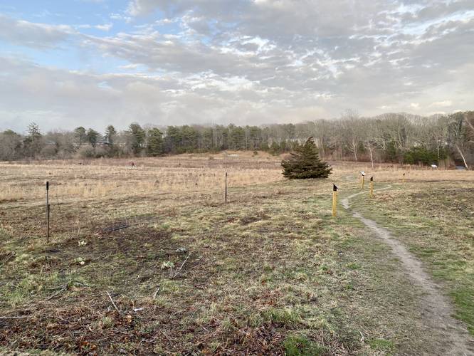 Hiking up the wildlfower meadows at Teaticket Park (no flowers)