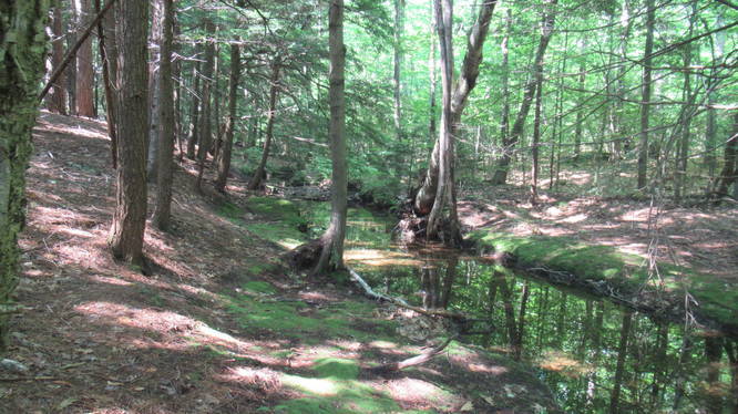 Stream along trail