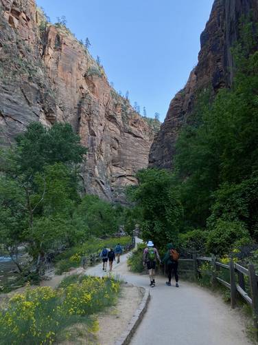 Hiking toward The Narrows in the Temple of Sinawava