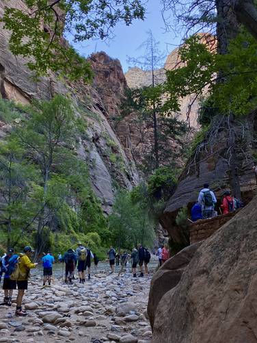 Hordes of hikers begin their trek up the Virgin River's Narrows at Zion National Park