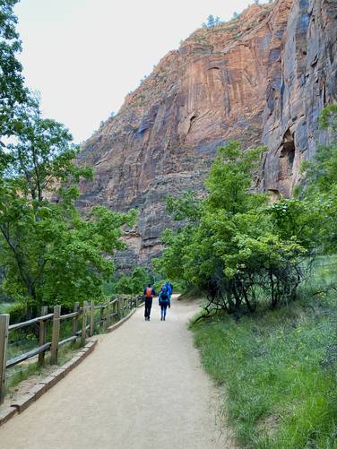 Hiking through Zion's Temple of Sinawava