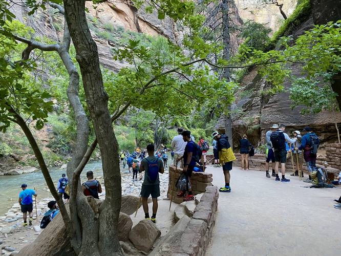 Hordes of hikers begin their trek up the Virgin River's Narrows at Zion National Park