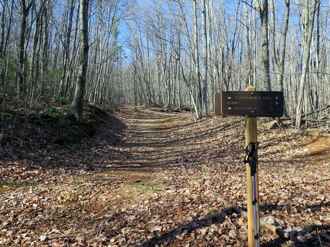 Picture 6 of Terrapin Mountain Hike 120515