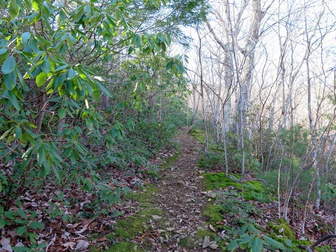 Picture 9 of Terrapin Mountain Hike 120515