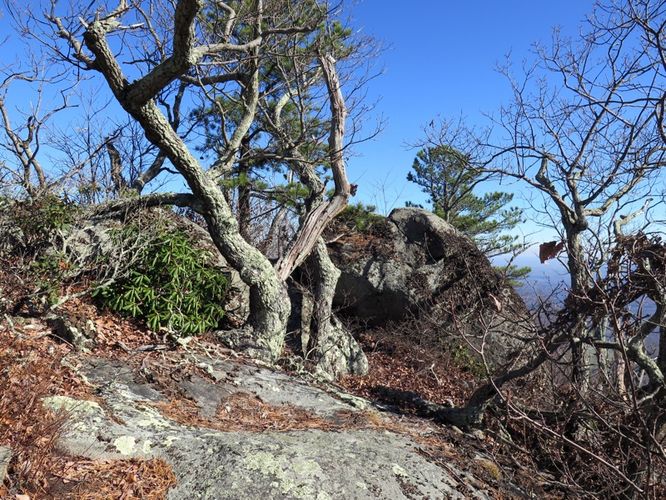 Picture 19 of Terrapin Mountain Hike 120515