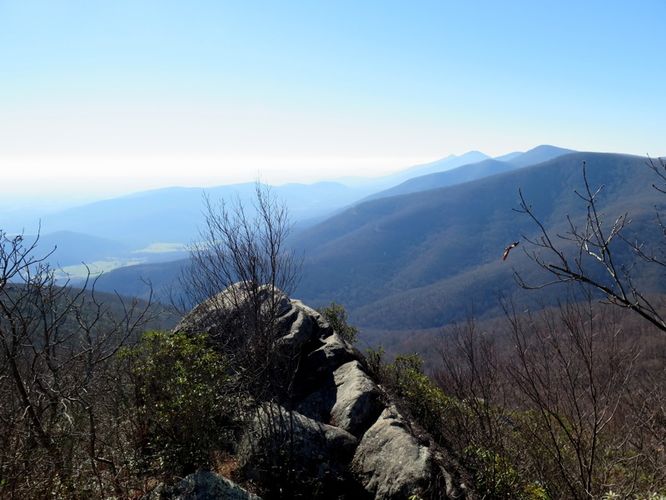Picture 28 of Terrapin Mountain Hike 120515