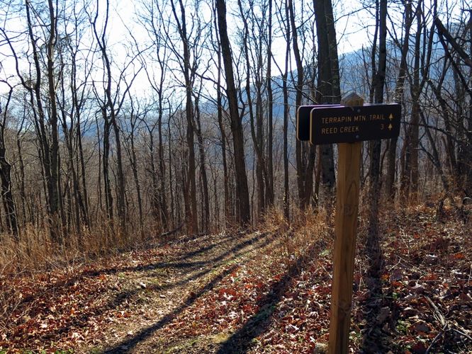 Picture 36 of Terrapin Mountain Hike 120515