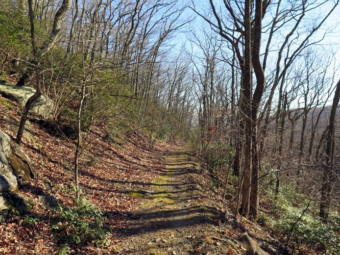 Picture 38 of Terrapin Mountain Hike 120515