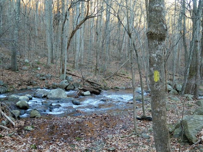 Picture 45 of Terrapin Mountain Hike 120515