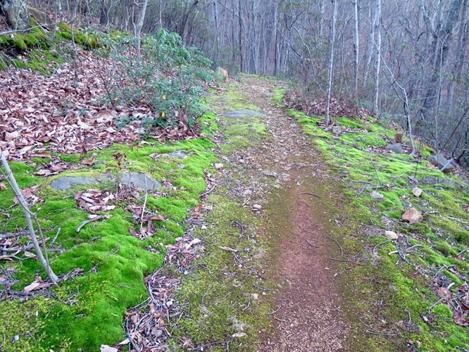 Picture 52 of Terrapin Mountain Hike 120515