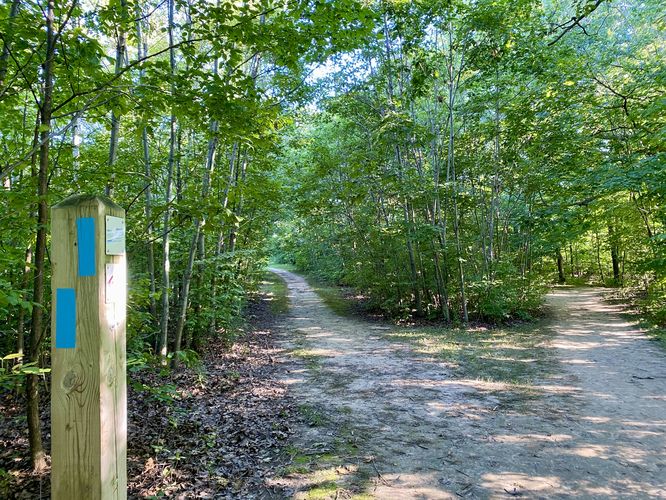 Trail splits, leads to the same place to Tew Falls