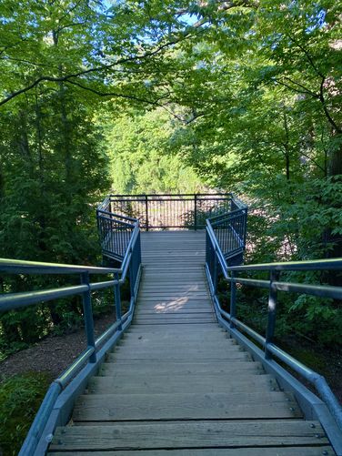 2nd viewing platform of Tew Falls in Spencer Gorge