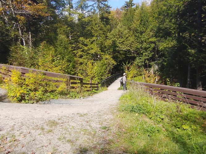 Access to bridge and Nature Trail 