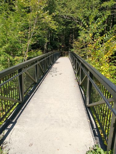 Bridge over gorge at falls