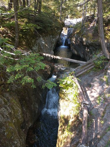 Default image for Texas Falls Nature Trail, a 1.2-mile trail in Hancock, VT (US)