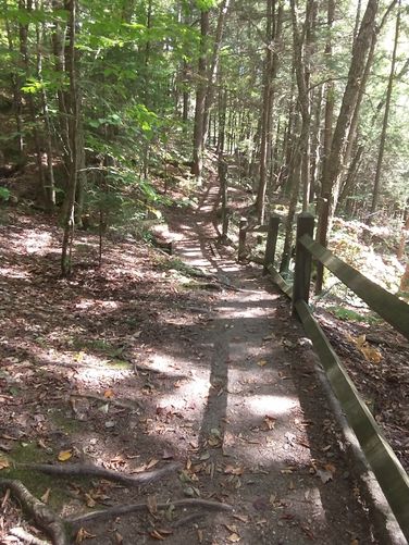 Narrow trail substrate 