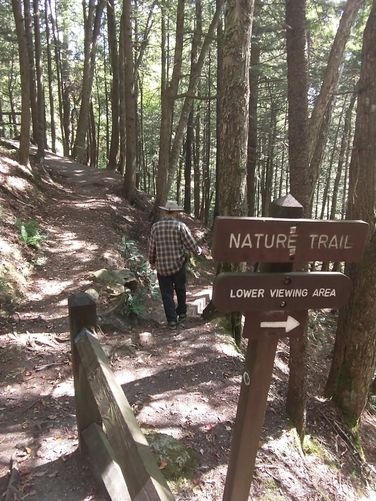 Short side trip to lower viewing platform 