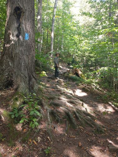 Trail substrate and blaze marker