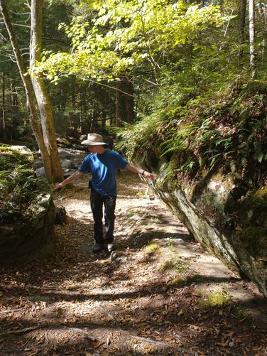 Interesting features along the Nature Trail 