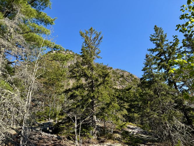 Obstructed view of The Beehive route from below