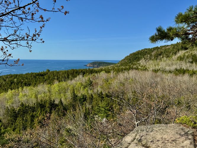 View of Otter Point