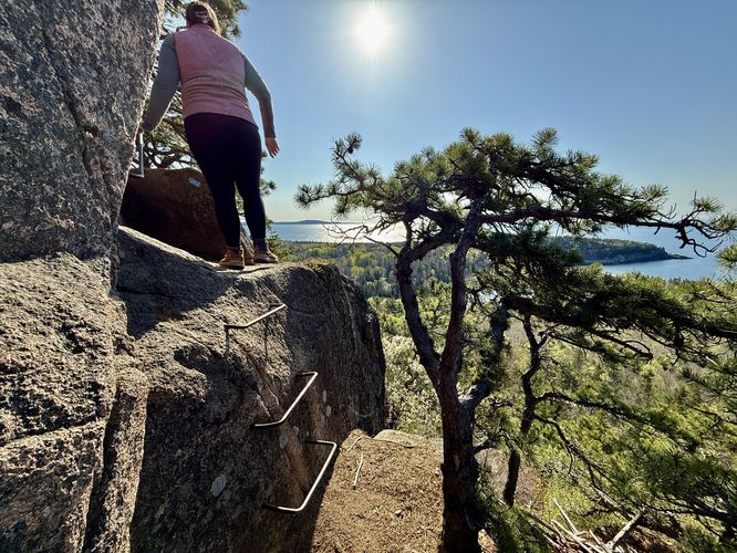 Metal climbing rungs begin