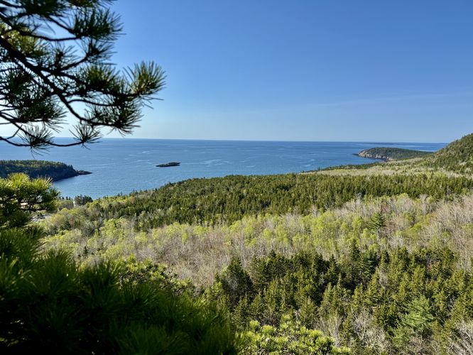 View of Otter Point