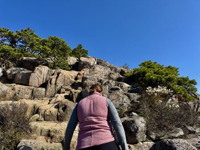 The last push to the top of The Beehive's southern rock route