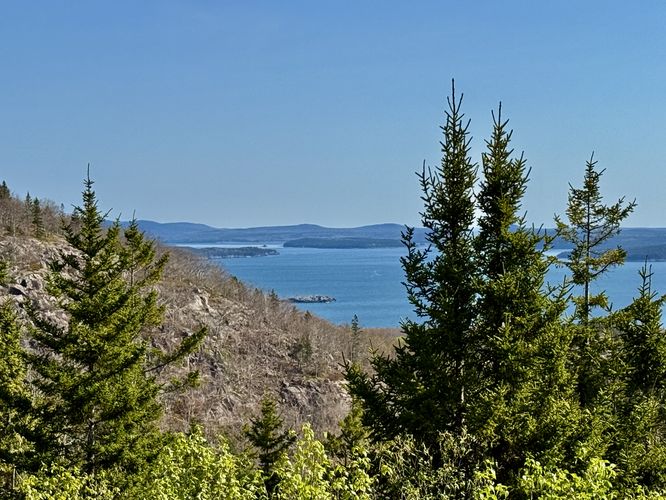 View into Frenchman Bay