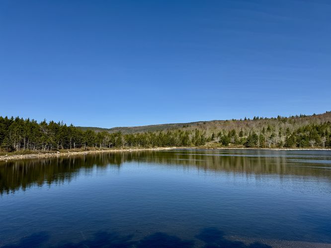 View of The Bowl (pond)