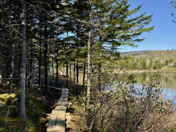 Raised boardwalk leads along The Bowl