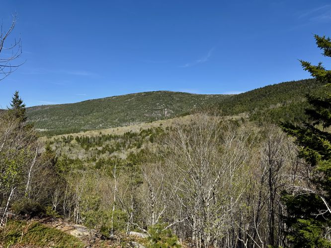 View of Cadillac Mountain
